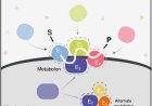 Integrated approaches for discovery and functional annotation of proteins of unknown function
