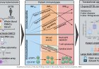 Blood-based immunological signatures for extrapulmonary tuberculosis