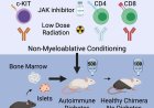 Curing autoimmune diabetes in mice with islet and hematopoietic cell transplantation after CD117 antibody-based conditioning