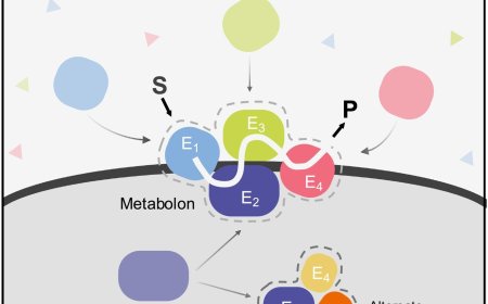 Integrated approaches for discovery and functional annotation of proteins of unknown function