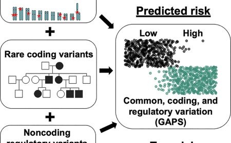 Maternal diabetes programs sexually dimorphic early-onset cardiovascular dysfunction in metabolically healthy offspring