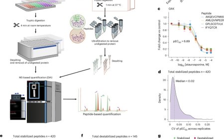 High-throughput peptide-centric local stability assay extends protein–ligand identification to membrane proteins, tissues and bacteria