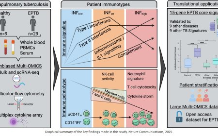 Deep immune profiling delineates hallmarks of disease heterogeneity in extrapulmonary tuberculosis