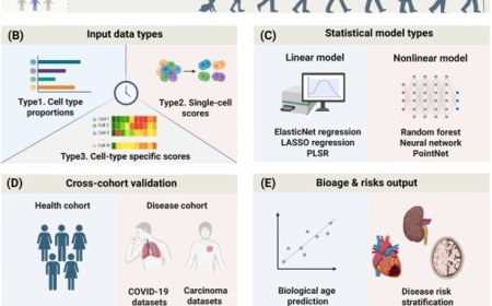 Decoding immune aging at single-cell resolution