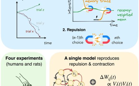 How Hebbian learning explains our recall of past events