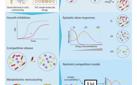 Medications change our gut microbiome in predictable ways