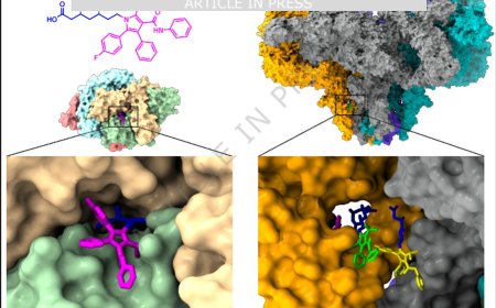 Cryo-electron microscopy reveals sequential binding and activation of Ryanodine Receptors by statin triplets
