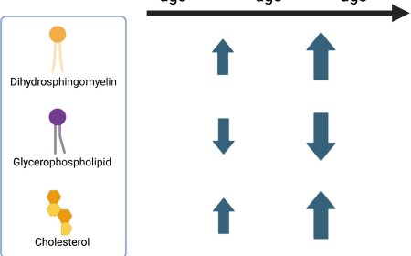 Lipids as pharmacological targets in age-related lens disease