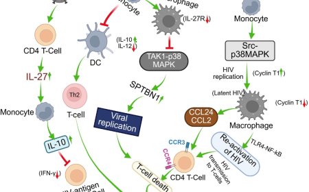 Pathogens hijack monocyte differentiation