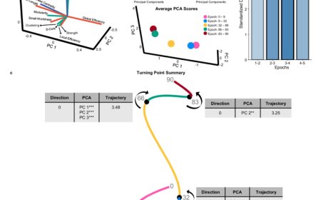 Topological turning points across the human lifespan