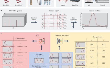 C-COMPASS: a user-friendly neural network tool profiles cell compartments at protein and lipid levels