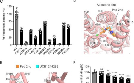 Structural mechanism behind anti-epilepsy therapies revealed!