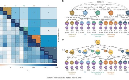 Mapping the genetic landscape across 14 psychiatric disorders