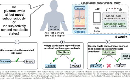 Glucose levels are associated with mood, but the association is mediated by ratings of metabolic state