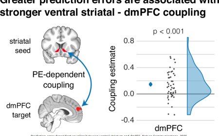 How imagining a positive encounter can make you like them better
