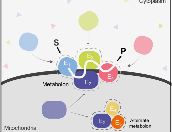 Integrated approaches for discovery and functional annotation of proteins of unknown function