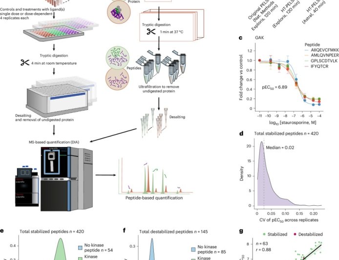 New method offers broader and faster detection of protein-ligand interactions