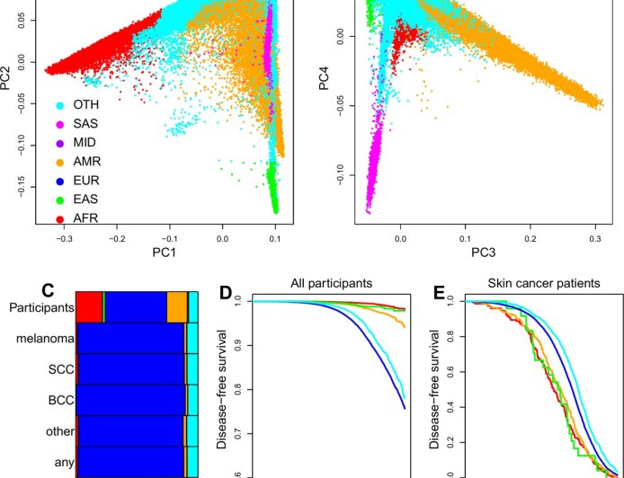 AI model to detect skin cancer