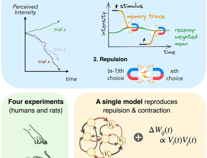 How Hebbian learning explains our recall of past events