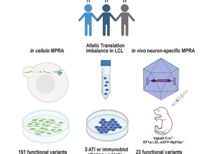 Approaches for identification of 5′ UTR mutations impacting translation and protein production from neurodevelopmental disorder genes