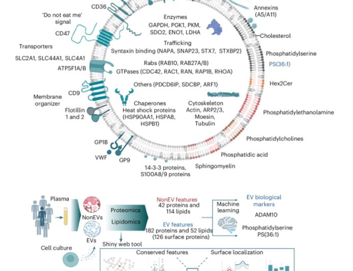 Mapping the molecular blueprint of blood’s secret messengers
