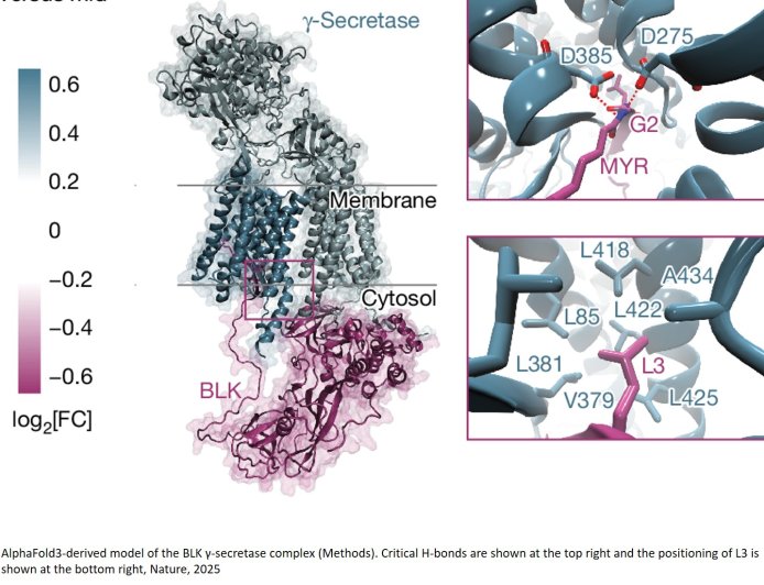 Kinase inhibitor drugs found to trigger protein degradation