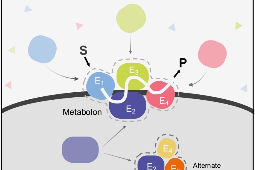 Characterizing proteins of unknown function
