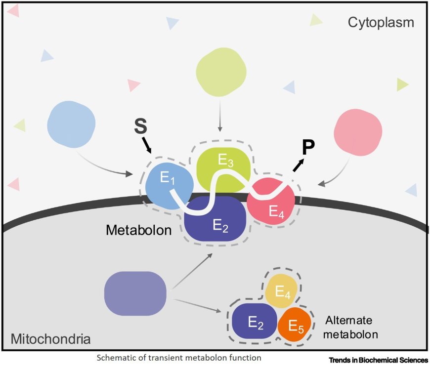 Integrated approaches for discovery and functional annotation of proteins of unknown function