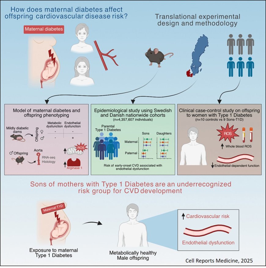 A combined genomic arrhythmia propensity score delineates cumulative risk