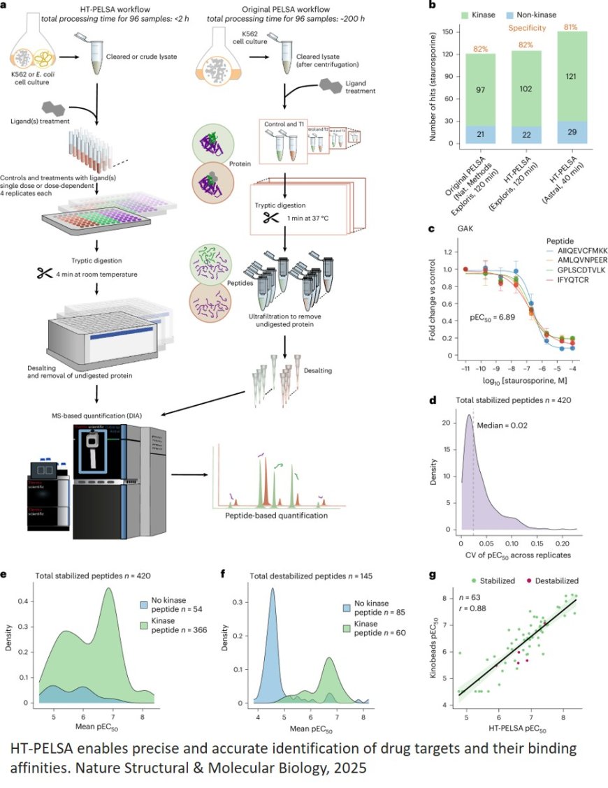 New method offers broader and faster detection of protein-ligand interactions