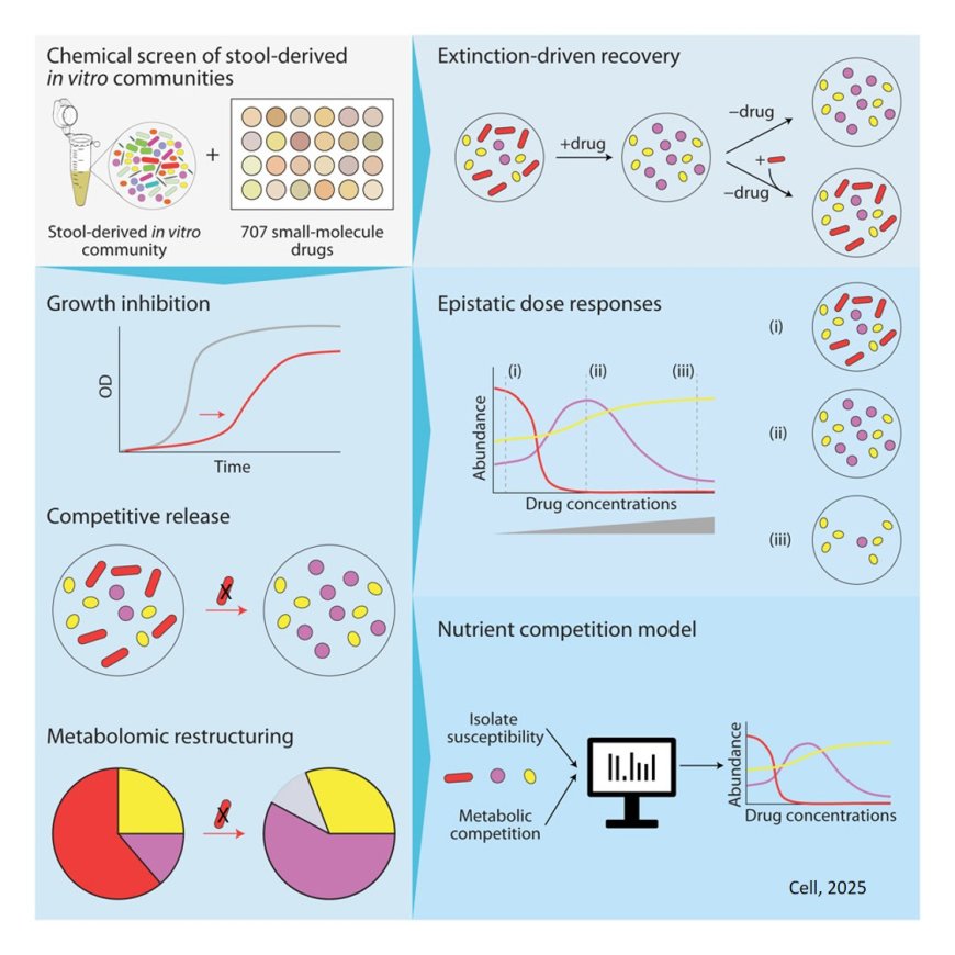 Medications change our gut microbiome in predictable ways