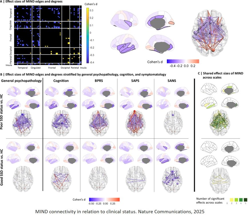 Reduced brain structural similarity is associated with maturation, neurobiological features, and clinical status in schizophrenia