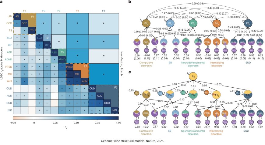 Mapping the genetic landscape across 14 psychiatric disorders