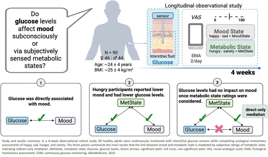 Glucose levels are associated with mood, but the association is mediated by ratings of metabolic state