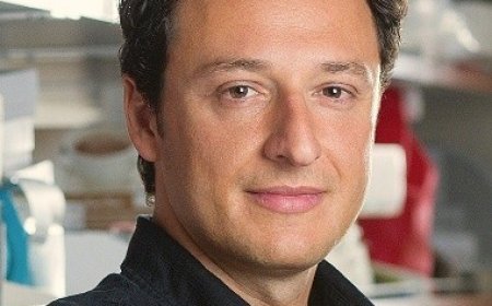 Modeling neurodevelomental disorders with stem cells and brain organoids