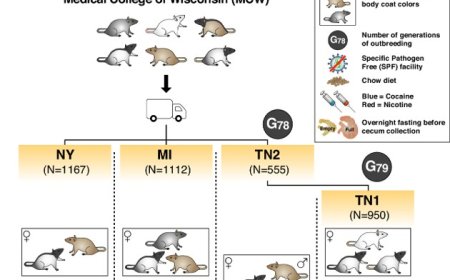 Could your genes influence the gut microbiome of others?