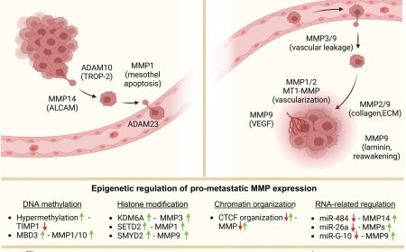 Epigenetic drivers of metalloproteinases and metastasis