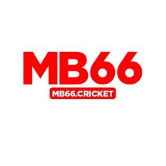mb66cricket