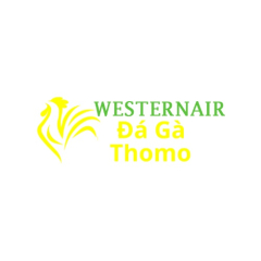dagawesternair