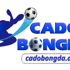 cadobongdaasia