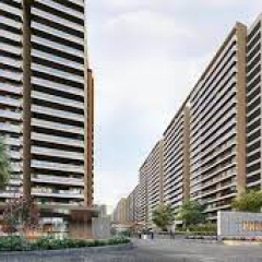 prestigeevergreen