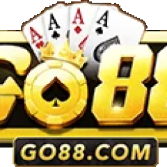 taigo88