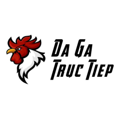tructiepdaga3bcom