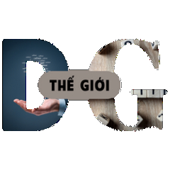 thegioidigi