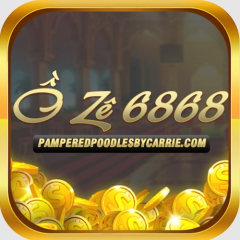 pamperedpoodlesbycarrie