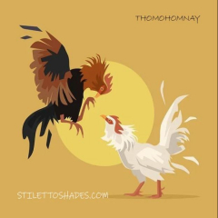 thomohomnayshades