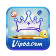 vip66boats
