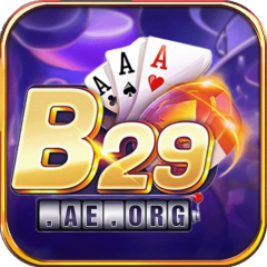 b29aeorg