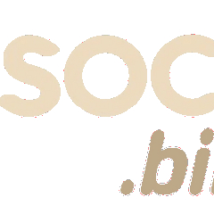soc88bike