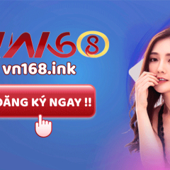 vn168inknd